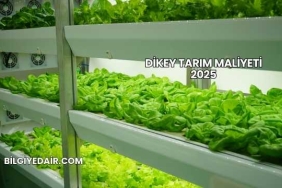 Dikey Tarım Maliyeti 2025