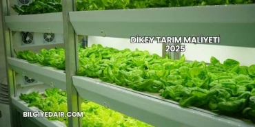 Dikey Tarım Maliyeti 2025