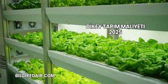 Dikey Tarım Maliyeti 2025