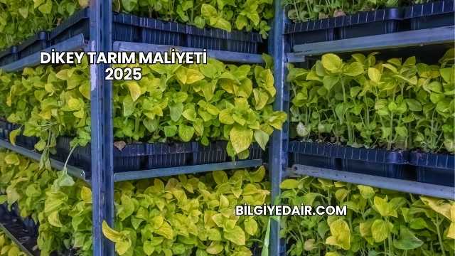Dikey Tarım Maliyeti 2025