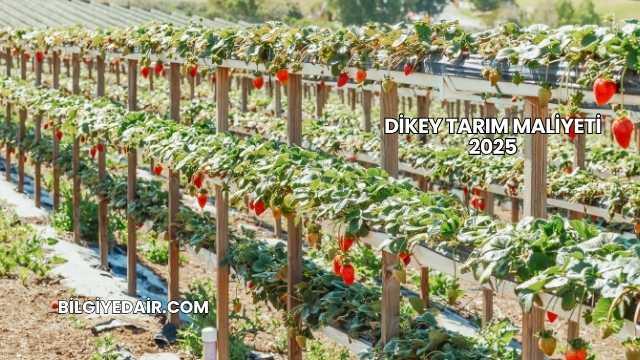 Dikey Tarım Maliyeti 2025