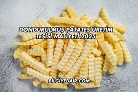 Dondurulmuş Patates Üretim Tesisi Maliyeti 2025