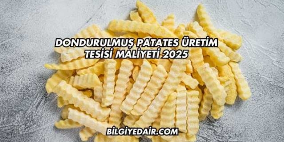 Dondurulmuş Patates Üretim Tesisi Maliyeti 2025