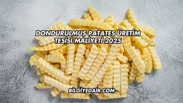 Dondurulmuş Patates Üretim Tesisi Maliyeti 2025