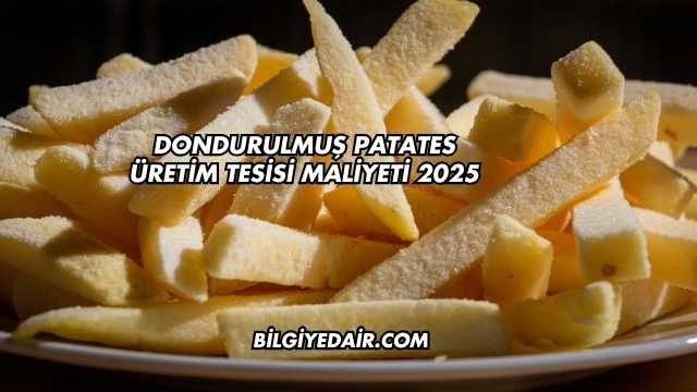 Dondurulmuş Patates Üretim Tesisi Maliyeti 2025