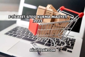 E-Ticaret Sitesi Kurma Maliyeti 2025