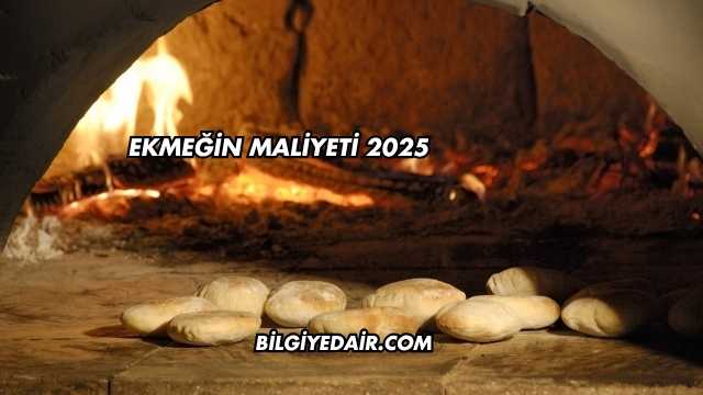 Ekmeğin Maliyeti 2025