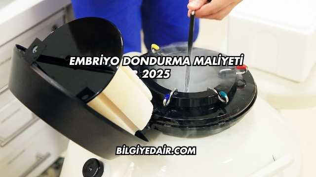 Embriyo Dondurma Maliyeti 2025
