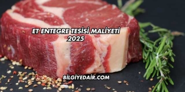 Et Entegre Tesisi Maliyeti 2025