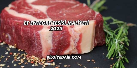 Et Entegre Tesisi Maliyeti 2025