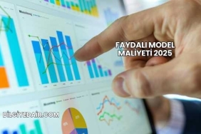 Faydalı Model Maliyeti 2025