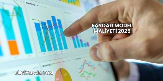 Faydalı Model Maliyeti 2025