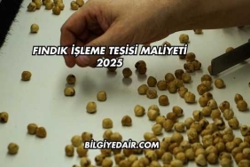 Fındık İşleme Tesisi Maliyeti 2025