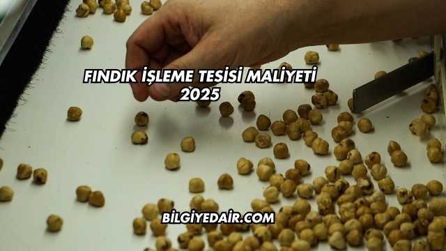 Fındık İşleme Tesisi Maliyeti 2025