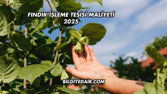 Fındık İşleme Tesisi Maliyeti 2025