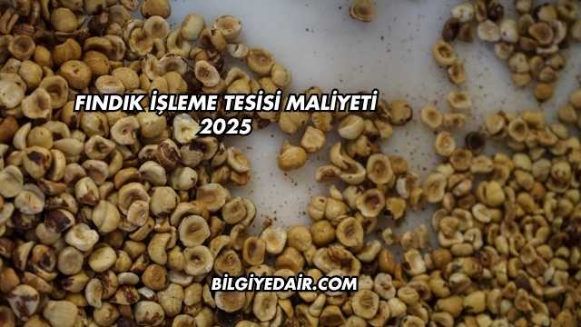 Fındık İşleme Tesisi Maliyeti 2025