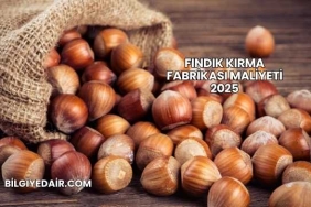 Fındık Kırma Fabrikası Maliyeti 2025