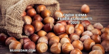 Fındık Kırma Fabrikası Maliyeti 2025