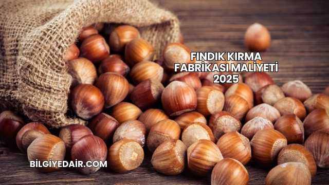 Fındık Kırma Fabrikası Maliyeti 2025