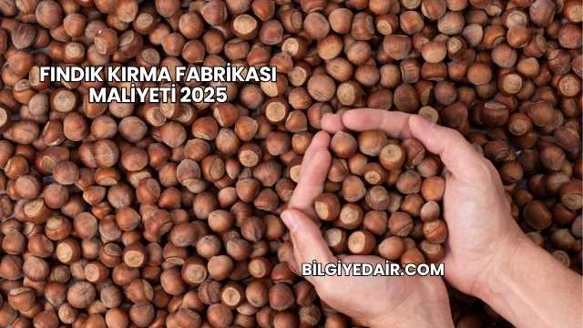 Fındık Kırma Fabrikası Maliyeti 2025