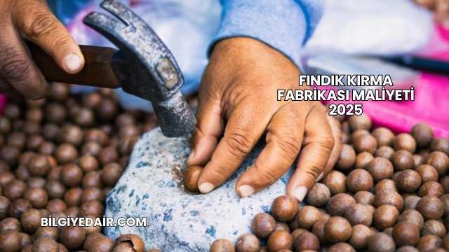 Fındık Kırma Fabrikası Maliyeti 2025