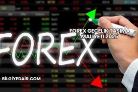 Forex Gecelik Taşıma Maliyeti 2025