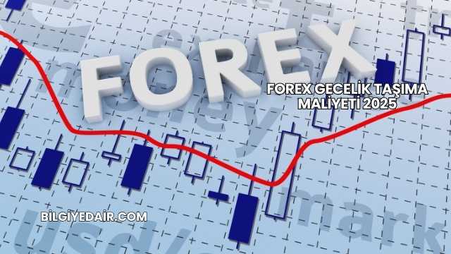 Forex Gecelik Taşıma Maliyeti 2025