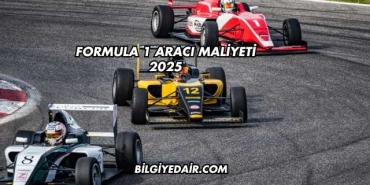 Formula 1 Aracı Maliyeti 2025