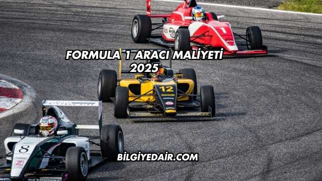 Formula 1 Aracı Maliyeti 2025