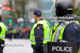 Gezi Parkı Olayları Maliyeti