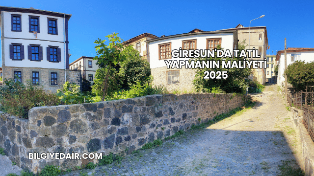 Giresun'da Tatil Yapmanın Maliyeti 2025