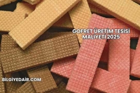 Gofret Üretim Tesisi Maliyeti 2025