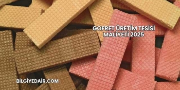 Gofret Üretim Tesisi Maliyeti 2025
