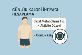 Günlük Kalori İhtiyacı Hesaplama