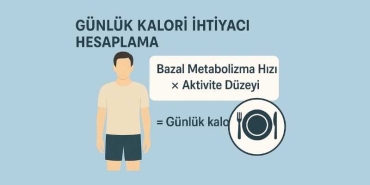 Günlük Kalori İhtiyacı Hesaplama