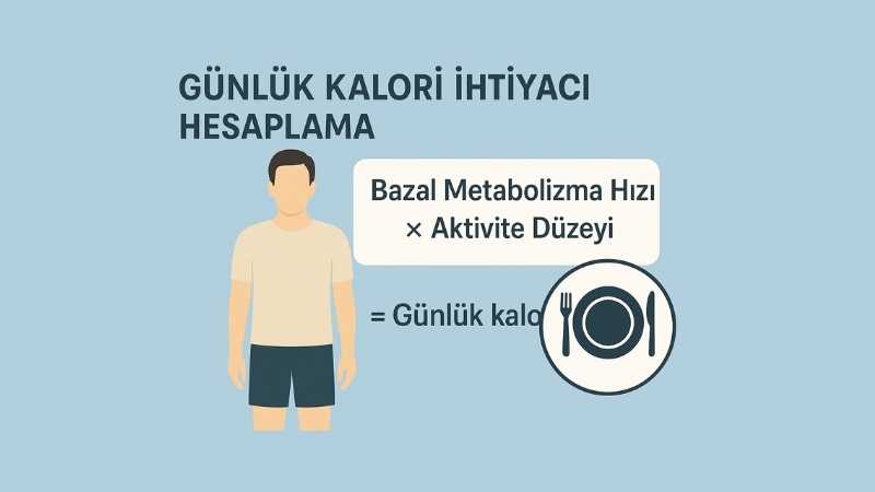 Günlük Kalori İhtiyacı Hesaplama