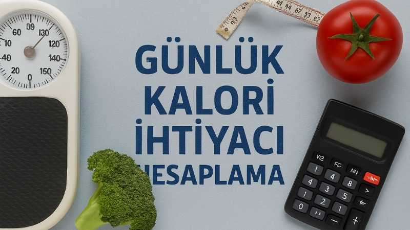 Günlük Kalori İhtiyacı Hesaplama