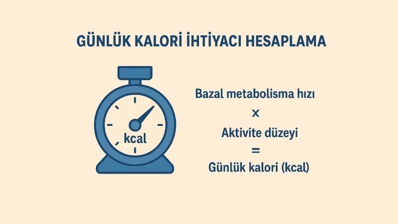 Günlük Kalori İhtiyacı Hesaplama