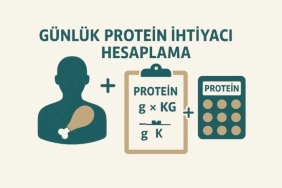 Günlük Protein İhtiyacı Hesaplama