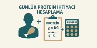 Günlük Protein İhtiyacı Hesaplama