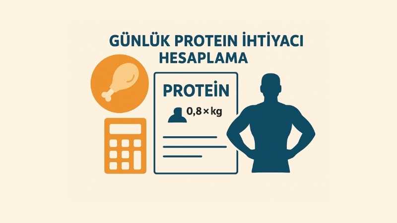 Günlük Protein İhtiyacı Hesaplama