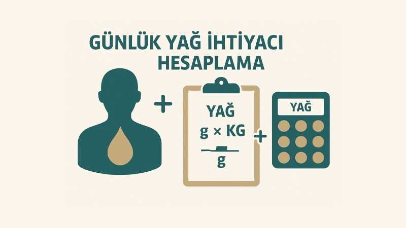 Günlük Yağ İhtiyacı Hesaplama