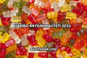 Haribo Bayilik Maliyeti 2025
