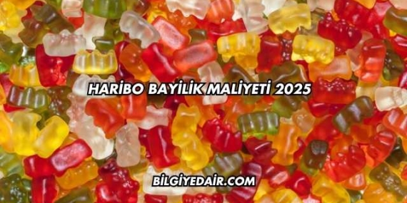 Haribo Bayilik Maliyeti 2025