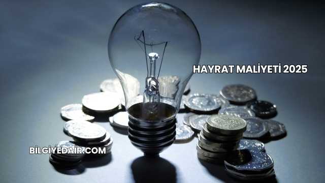 Hayrat Maliyeti 2025