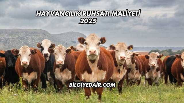 Hayvancılık Ruhsatı Maliyeti 2025