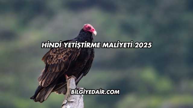 Hindi Yetiştirme Maliyeti 2025
