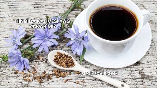 Hindiba Kahvesi Yağ Yakar mı?
