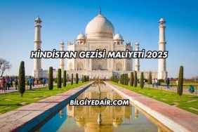 Hindistan Gezisi Maliyeti 2025