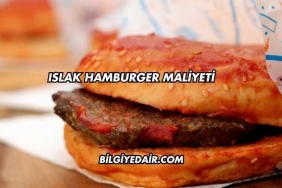 Islak Hamburger Maliyeti